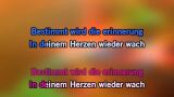 Singen Dezemberträume Karaoke - Rolf Zuckowski - MP3 Karaoke