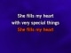 (Where Do I Begin?) Love Story Karaoke - Andy Williams