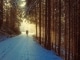 Lost in the Woods kustomoitu tausta - Frozen 2