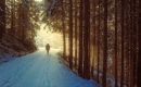 Lost in the Woods - Frozen 2 - Instrumental MP3 Karaoke Download