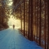 Karaoké Perdido en el bosque Frozen 2