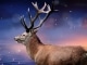 Reindeer(s) Are Better Than People niestandardowy podkład - Frozen 2