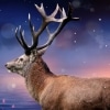 Reindeer(s) Are Better Than People Karaoke Frozen 2