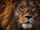 Él vive en ti niestandardowy podkład - The Lion King 2