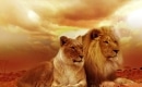 Karaoke de El Ciclo de la Vida - El rey león - MP3 instrumental