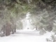 Playback MP3 Let it Snow! Let it Snow! Let it Snow! - Karaoké MP3 Instrumental rendu célèbre par Garou