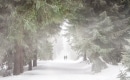 Let it Snow! Let it Snow! Let it Snow! - Karaoké Instrumental - Garou - Playback MP3