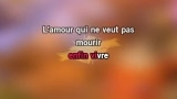 Video Karaoke Un amour qui ne veut pas mourir - Renée Martel