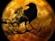 The Crow & The Butterfly kustomoitu tausta - Shinedown