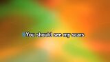 Bleed Like Me Karaoke - Garbage