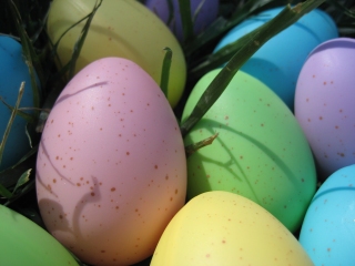 Karaoke Eggbert The Easter Egg - Video with Lyrics - Easter Songs