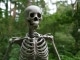 Instrumental MP3 Bones - Karaoke MP3 bekannt durch The Killers