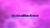 Singen Petite Marie Karaoke - Francis Cabrel - MP3 Karaoke