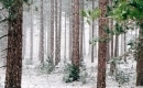 Karaoke de This Is Christmas - Luther Vandross - MP3 instrumental