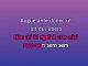 House of the Rising Sun - Karaoke personalizzato - Haley Reinhart