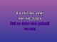 Four Walls - Karaoke personalizzato - Jim Reeves