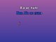 Fire - Aangepaste karaokevideo - Kasabian