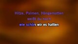 Karaoké Das letzte Lied des Sommers - Die Ärzte
