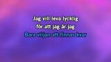 Gabriella's Song Karaoke - Helen Sjöholm