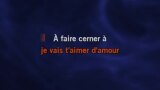 Video Karaoke Liedje Je vais t'aimer (live 2011) - Michel Sardou
