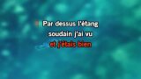Le chasseur Karaoke - Michel Delpech