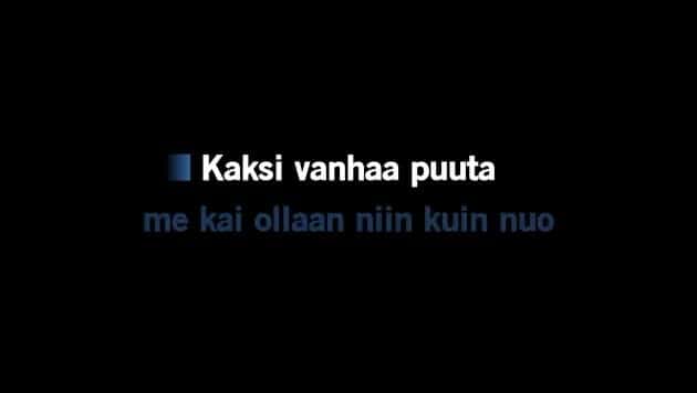 Karaoke Kaksi puuta - Juha Tapio - CDG, MP4, KFN - Karaoke Version