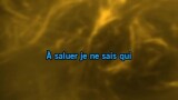 Karaoké Les Ricains (live 2017) - Michel Sardou