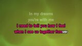 Video Karaoke Liedje Imagination - Shawn Mendes