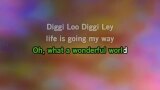 Karaoké Diggi Loo Diggi Ley (english version) - Herreys