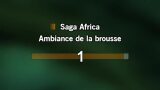 Karaokê Saga Africa - Yannick Noah