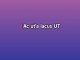 3AM (live acoustic) - Custom Karaoke - Matchbox Twenty