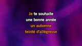 Video Karaoke Je te souhaite une bonne année - Grégoire