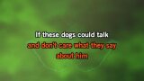 Video Karaoke If These Dogs Could Talk - Brandy Clark