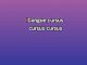 Guus Meeuwis Medley - Custom Karaoke - De Toppers