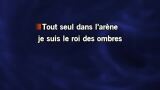 Le roi des ombres Karaoke - Matthieu Chedid (-M-)