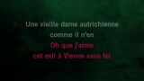 Karaoké Vienne - Patrick Bruel