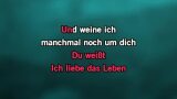 Karaoké Medley Andrea Berg - Medley Covers