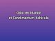 They All Laughed - Karaoke personalizzato - Frank Sinatra