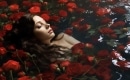 Where the Wild Roses Grow - Karaoke Strumentale - Nick Cave - Playback MP3