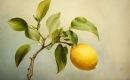 Karaoke de Lemon - Kenshi Yonezu (米津 玄師) - MP3 instrumental
