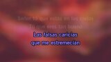 Karaoké Él me mintió - Amanda Miguel