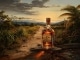 Rum Is the Reason custom accompaniment track - Toby Keith