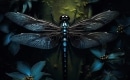 Karaoke de Dragonfly - Shaman's Harvest - MP3 instrumental