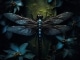Dragonfly niestandardowy podkład - Shaman's Harvest