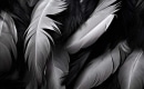Karaoke de Angels - Within Temptation - MP3 instrumental