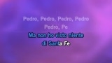 Video Karaoke Pedro (mi sono innamorata seduta stante) - Raffaella Carrà - Karaoke Canzoni