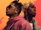 Instrumental MP3 Go Crazy - Karaoke MP3 as made famous by Young Thug