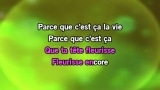 Video Karaoke C'est la vie - Mika - Karaoke Canzoni