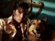 Pista de acomp. personalizable Hound Dog - Elvis Presley