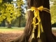 Tie a Yellow Ribbon Round the Ole Oak Tree individuelles Playback Frank Sinatra